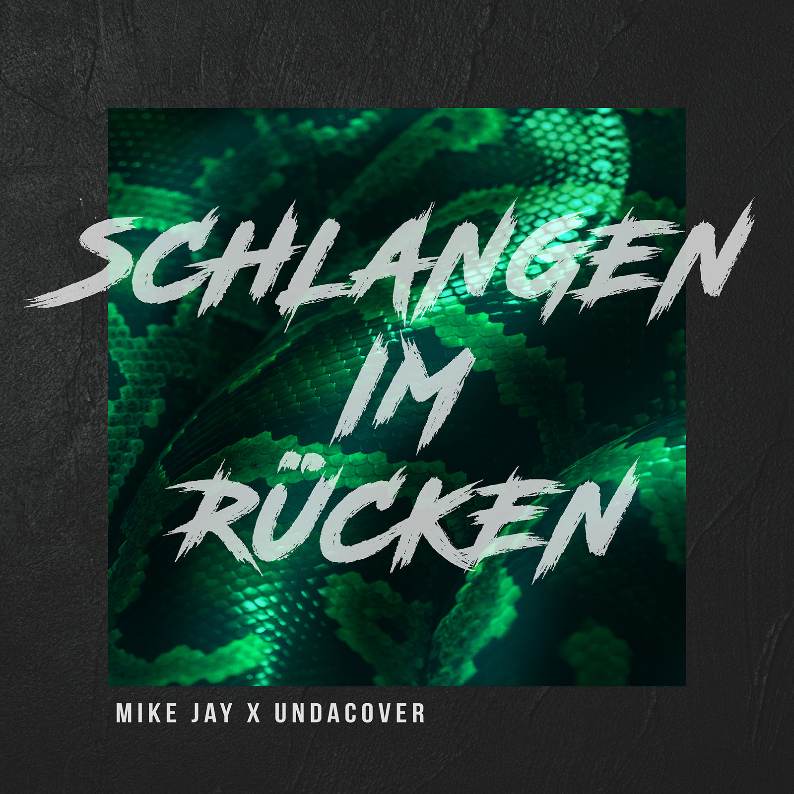 Mike Jay & Undercover - ”Schlangen Im Rücken”